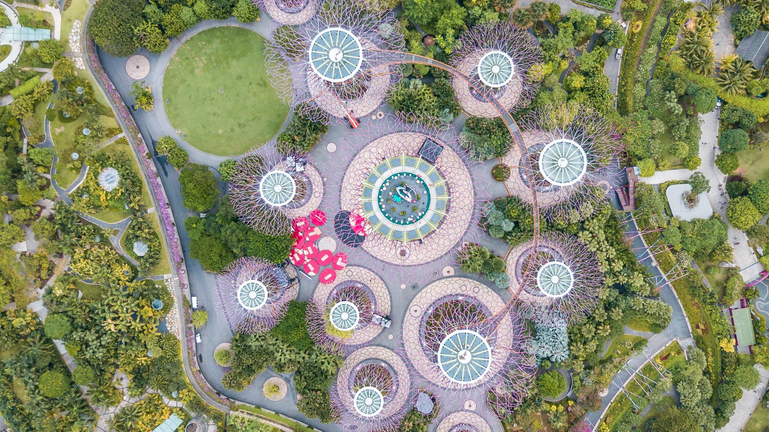 Aerial view of Singapore buildings