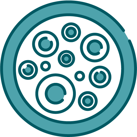 Animated graphic of cells