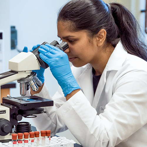 Female scientist looking into microscope