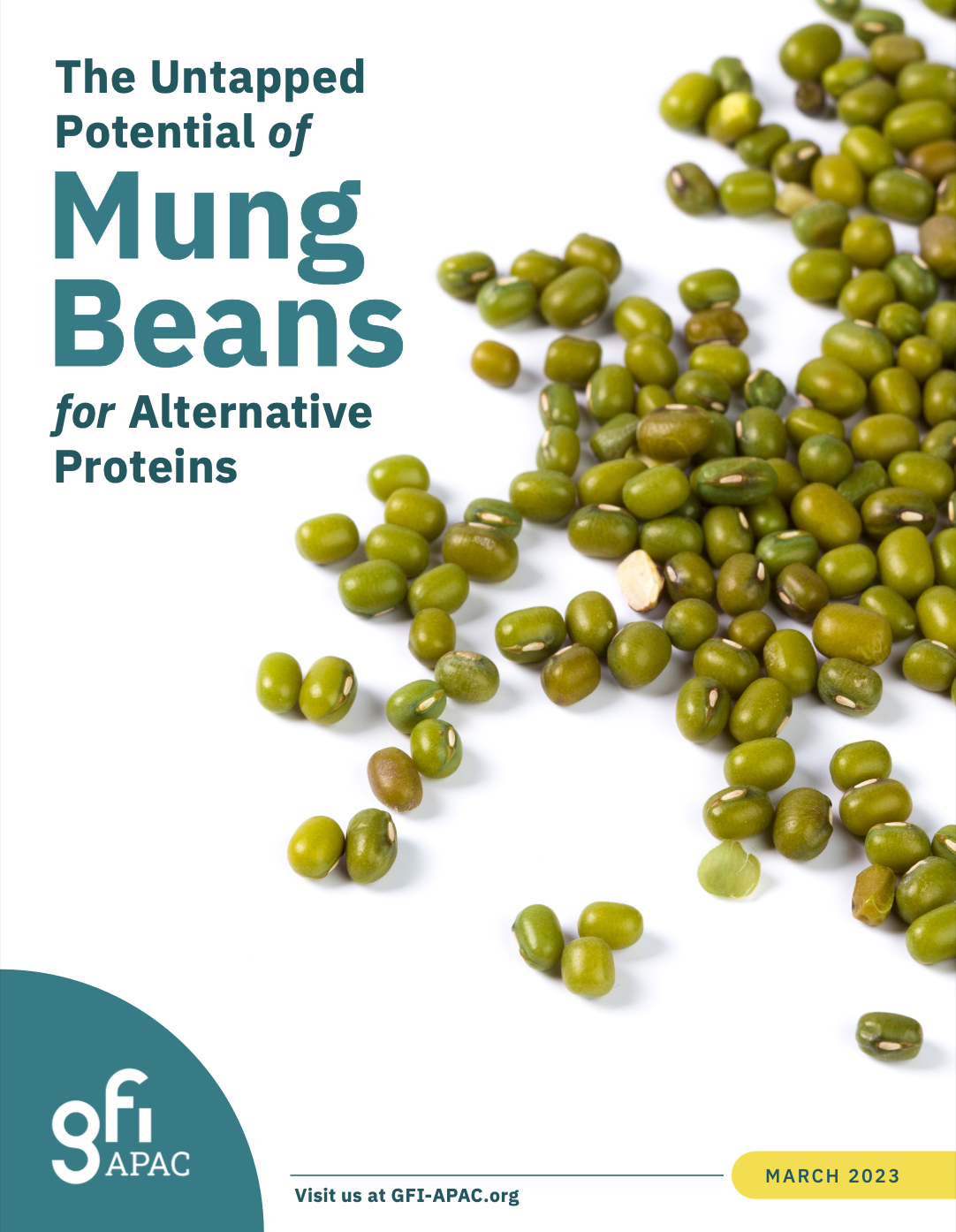 The Untapped Potential of Mung Beans for Alternative Proteins