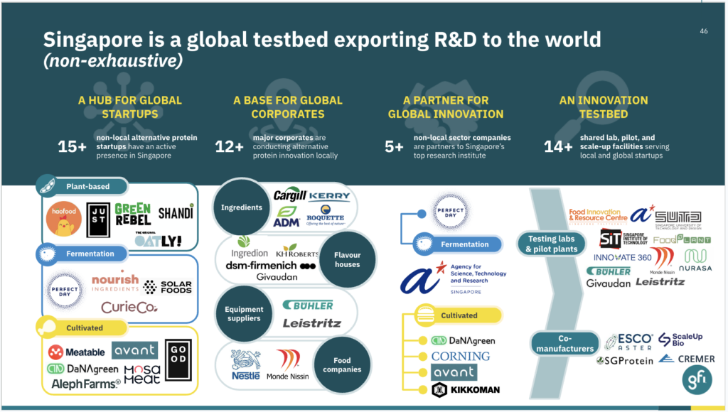 The Business of Alt Protein: How to scale your alternative protein company  internationally 